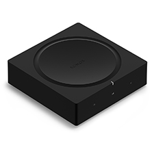 amp1 small